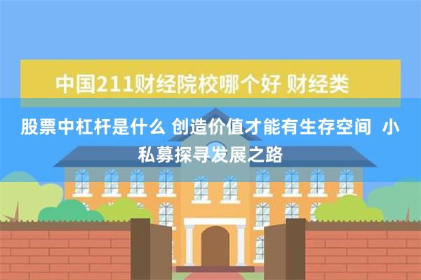 股票中杠杆是什么 创造价值才能有生存空间  小私募探寻发展之路