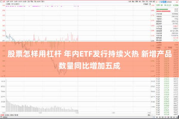 股票怎样用杠杆 年内ETF发行持续火热 新增产品数量同比增加五成