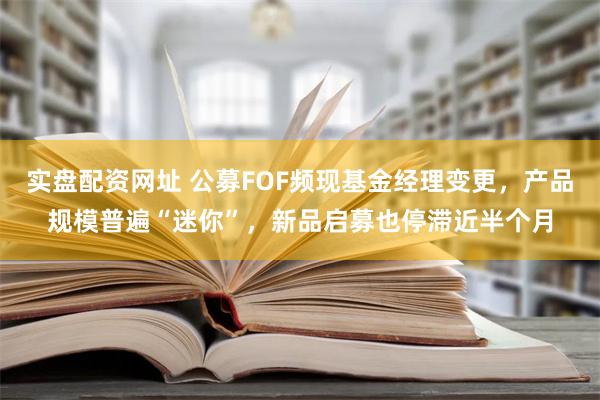 实盘配资网址 公募FOF频现基金经理变更，产品规模普遍“迷你”，新品启募也停滞近半个月