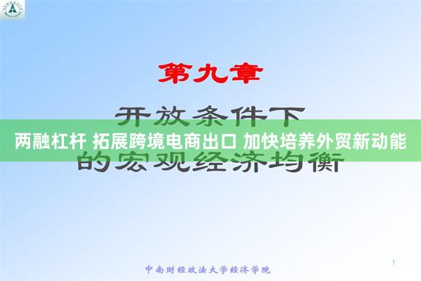 两融杠杆 拓展跨境电商出口 加快培养外贸新动能