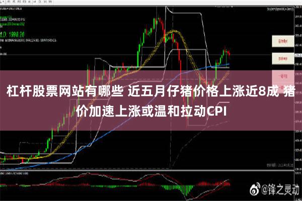 杠杆股票网站有哪些 近五月仔猪价格上涨近8成 猪价加速上涨或温和拉动CPI