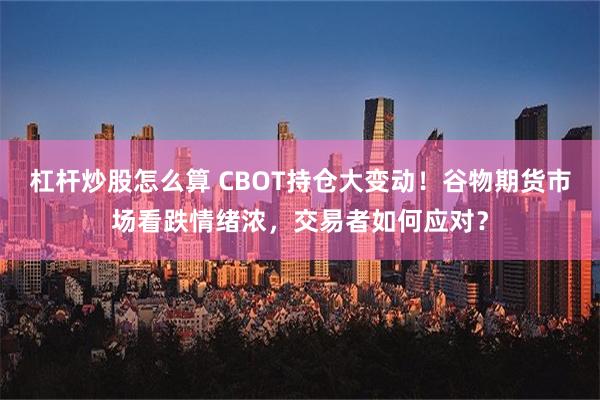 杠杆炒股怎么算 CBOT持仓大变动！谷物期货市场看跌情绪浓，交易者如何应对？