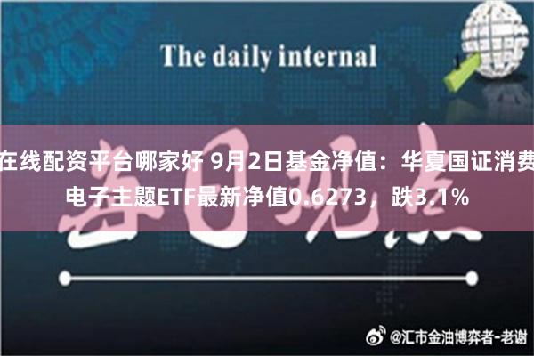 在线配资平台哪家好 9月2日基金净值：华夏国证消费电子主题ETF最新净值0.6273，跌3.1%