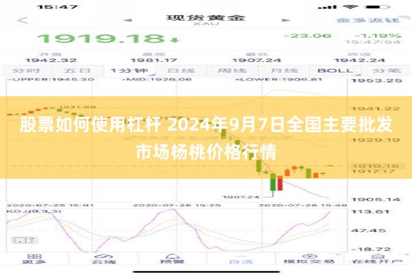 股票如何使用杠杆 2024年9月7日全国主要批发市场杨桃价格行情