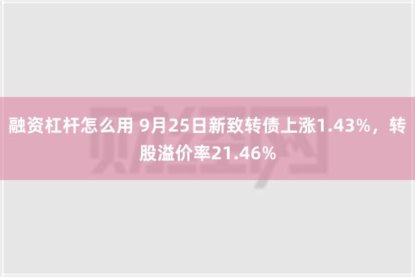 融资杠杆怎么用 9月25日新致转债上涨1.43%，转股溢价率21.46%