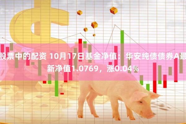 股票中的配资 10月17日基金净值：华安纯债债券A最新净值1.0769，涨0.04%