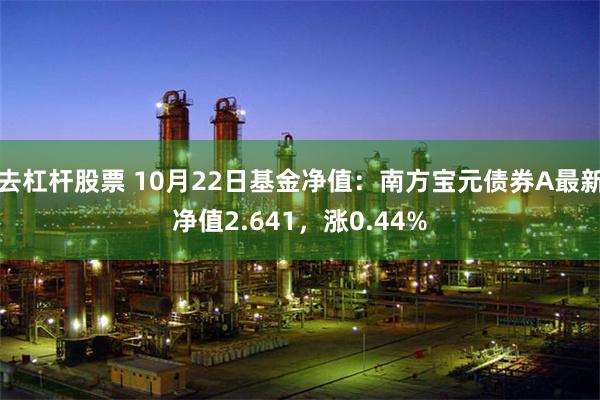 去杠杆股票 10月22日基金净值：南方宝元债券A最新净值2.641，涨0.44%