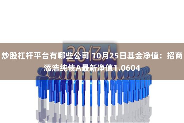 炒股杠杆平台有哪些公司 10月25日基金净值：招商添浩纯债A最新净值1.0604