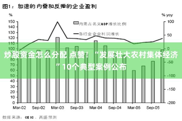 炒股资金怎么分配 点赞！“发展壮大农村集体经济”10个典型案例公布