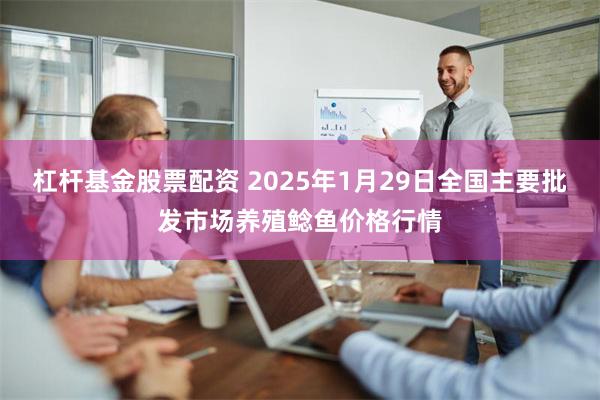 杠杆基金股票配资 2025年1月29日全国主要批发市场养殖鲶鱼价格行情